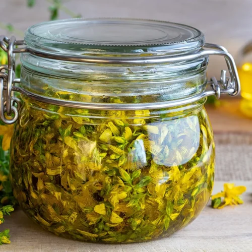 Herbal Medicine Current Trends and Future Prospects
