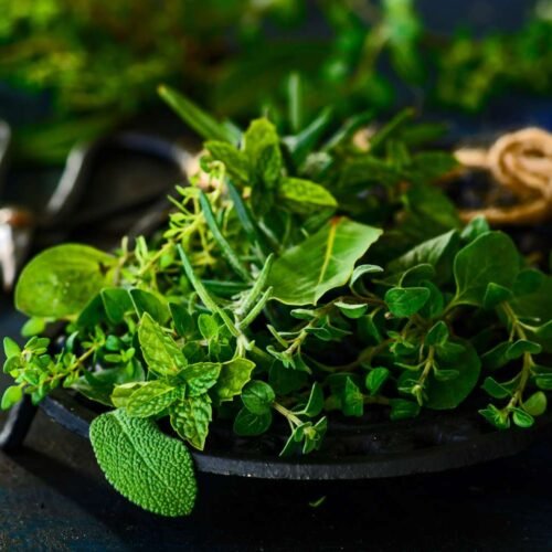 What are herbs?